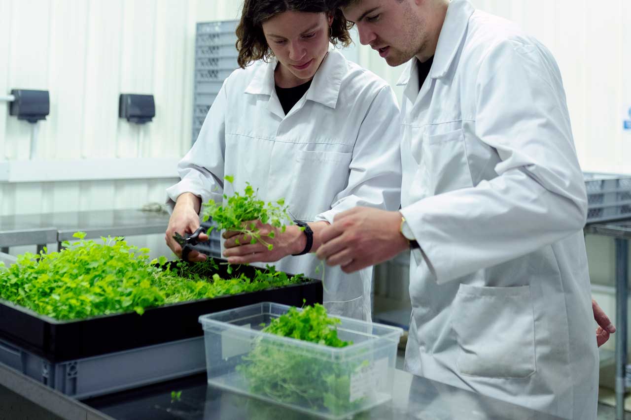 two-scientists-greenhouse